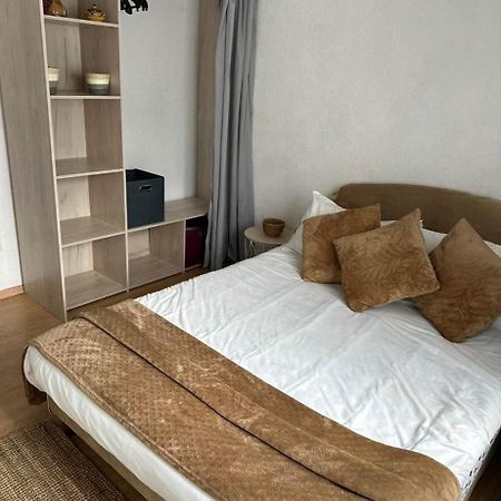 Superbe 4 Pieces Apartment Colmar Exterior photo